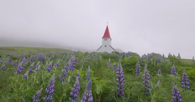 View of a white church with a red roof in a field in Iceland. View of a white church with a red roof in a field in Iceland.