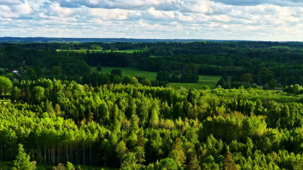 Aerial view of a lush green forest landscape with dense trees and rolling meadows under a cloudy sky in LATVIJA. Aerial view of a lush green forest landscape with dense trees and rolling meadows under a cloudy sky in LATVIJA.