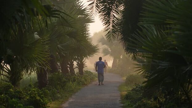 View of a man walking on a path lined with palm trees Bangladesh.