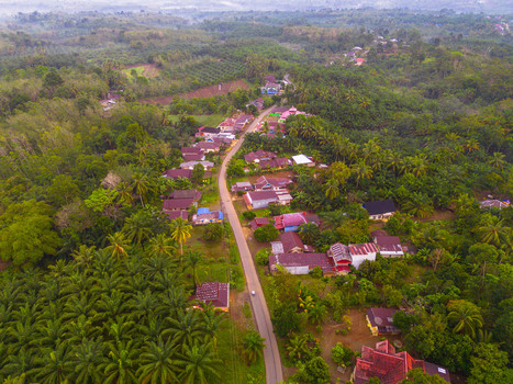 Aerial view of Taba Tembilang village surrounded by lush green palm oil plantations and tropical vegetation in Arga Makmur Bengkulu Indonesia.