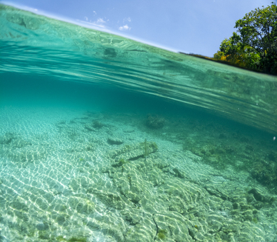 View of the crystal clear turquoise waters and rocky seabed with lush green trees on the shoreline under a bright blue sky in Guanaja Bay Islands Department Honduras. View of the crystal clear turquoise waters and rocky seabed with lush green trees on the shoreline under a bright blue sky in Guanaja Bay Islands Department Honduras.