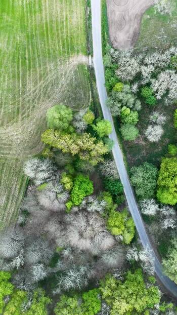 Aerial view of a narrow road through green fields and lush trees Spain. Aerial view of a narrow road through green fields and lush trees Spain.