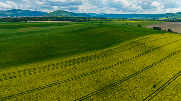 Aerial view of rolling green fields and vibrant yellow rapeseed crops under a cloudy sky with distant hills in Pribor Moravian Silesian Region Czechia. Aerial view of rolling green fields and vibrant yellow rapeseed crops under a cloudy sky with distant hills in Pribor Moravian Silesian Region Czechia.