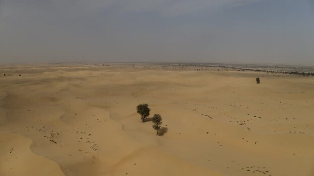 Aerial view of sand dunes and trees United Arab Emirates.