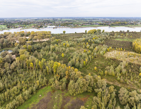 Aerial view of nature reserve Millingerwaard with lush autumn foliage river Waal and dense woodland in Millingen aan den Rijn Gelderland Netherlands.