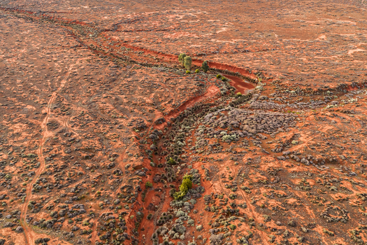 Aerial view of a winding dry creek bed with sparse green vegetation and tire tracks across the red arid landscape in Flinders Ranges South Australia Australia.