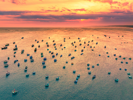Aerial view of numerous traditional round basket boats floating on the calm sea during a vibrant golden sunset in Vietnam. Aerial view of numerous traditional round basket boats floating on the calm sea during a vibrant golden sunset in Vietnam.