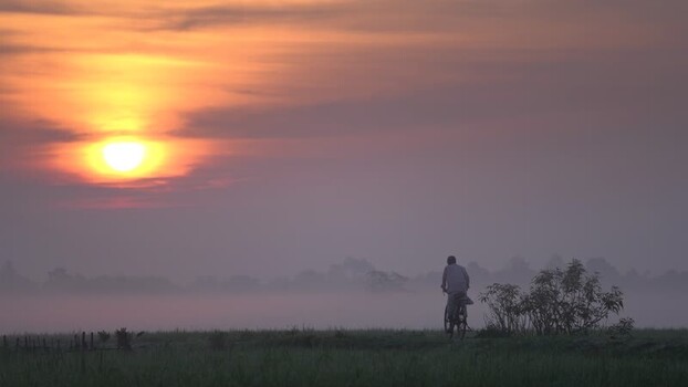 View of a man on a bicycle through misty fields at sunrise Bangladesh. View of a man on a bicycle through misty fields at sunrise Bangladesh.