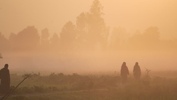 View of people walking through thick golden mist at sunrise Bangladesh. View of people walking through thick golden mist at sunrise Bangladesh.