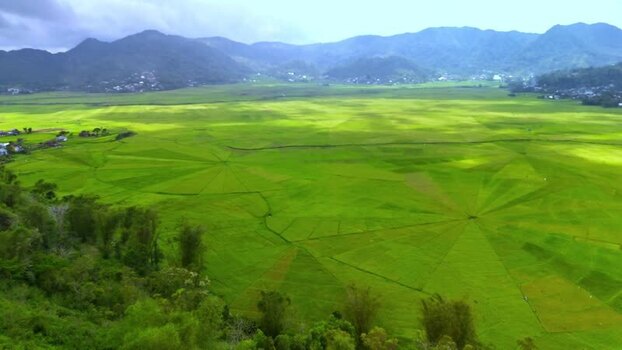 Aerial view of Lingko Spider Web Rice Fields in Ruteng Indonesia.