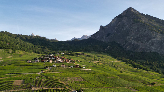 Aerial view of the Montagnon mountain peak overlooking lush green vineyards and the village of Leytron Valais Switzerland. Aerial view of the Montagnon mountain peak overlooking lush green vineyards and the village of Leytron Valais Switzerland.
