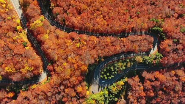 Aerial view of winding road in Carpathian Mountains Romania. Aerial view of winding road in Carpathian Mountains Romania.