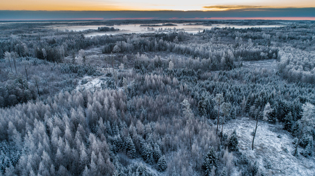Aerial view of a vast forest landscape covered in frost and snow during the golden hour with mist settling over the trees in Latvia. Aerial view of a vast forest landscape covered in frost and snow during the golden hour with mist settling over the trees in Latvia.