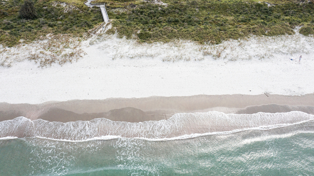 Aerial view of Omaha Beach with white sand gentle waves and a wooden walkway leading through coastal vegetation in Omaha Auckland New Zealand.