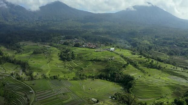 Aerial view of Jatiluwih rice terraces and mountains Indonesia.