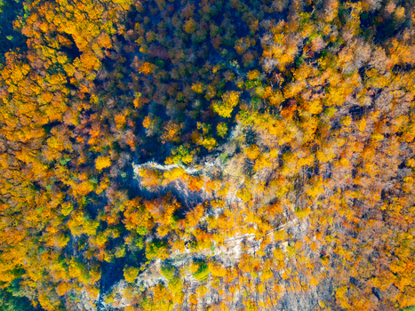 Aerial view of the rocky outcrop of Maly Bezdez surrounded by a dense forest with vibrant autumn foliage in Bezdez Liberecky kraj Czechia.