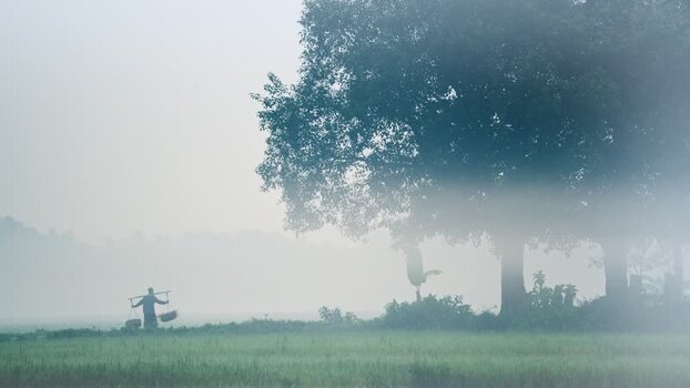 View of a worker carrying a yoke in a misty field Bangladesh.