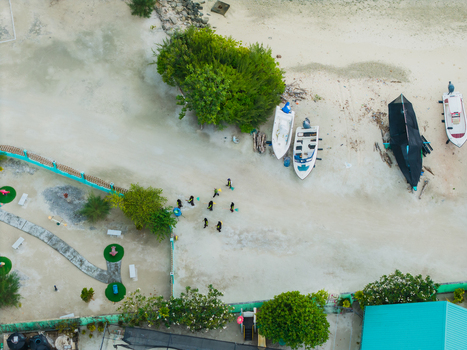 Aerial view of boats resting on the sandy shore near lush trees a serene contrast of turquoise water and white sand Vashafaru Island Thiladhummathi Atoll Maldives. Aerial view of boats resting on the sandy shore near lush trees a serene contrast of turquoise water and white sand Vashafaru Island Thiladhummathi Atoll Maldives.
