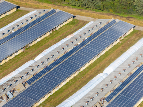 Aerial view of solar panels installed on the roofs of long industrial buildings surrounded by green fields Slovenia.