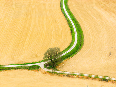 Aerial view of a winding white road cutting through golden agricultural fields with a solitary green tree at a junction in Ficulle Umbria Italy. Aerial view of a winding white road cutting through golden agricultural fields with a solitary green tree at a junction in Ficulle Umbria Italy.