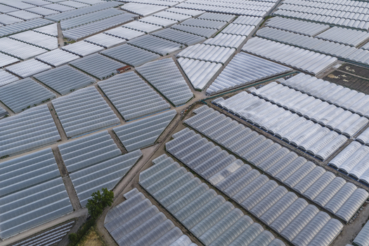 Aerial view of vast industrial greenhouses and polytunnels arranged in geometric patterns across the agricultural landscape in Paestum Campania Italy.