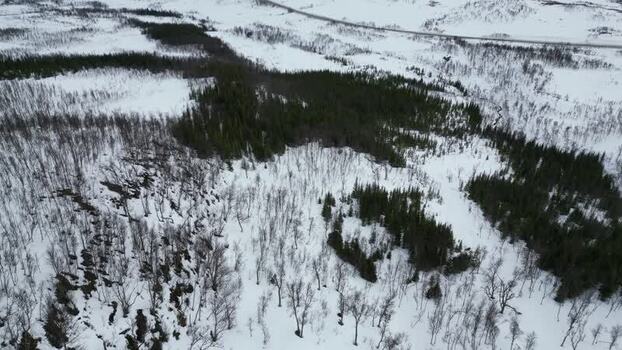 Aerial view of snowy forests on Kvaloya island Norway.