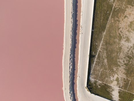 Aerial view of the vibrant pink salt ponds separated by white salt banks in Las Coloradas Yucatan Mexico.
