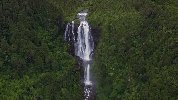 Aerial view of Wairere Falls in the lush forest New Zealand.