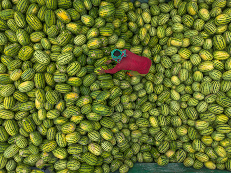 Dhaka Bangladesh 04 April 2026 Aerial view of a vibrant sea of striped green and yellow melons punctuated by the splash of a red garment creating a striking contrast in the bustling marketplace. Dhaka Bangladesh 04 April 2026 Aerial view of a vibrant sea of striped green and yellow melons punctuated by the splash of a red garment creating a striking contrast in the bustling marketplace.