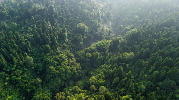 Aerial view of a lush tropical forest valley with dense green trees and soft morning sunlight in Sukabumi West Java Indonesia. Aerial view of a lush tropical forest valley with dense green trees and soft morning sunlight in Sukabumi West Java Indonesia.