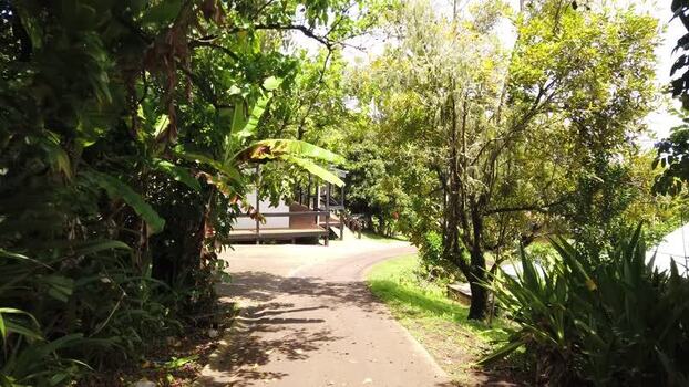 View of a modern building amidst tropical foliage Pitcairn Islands.