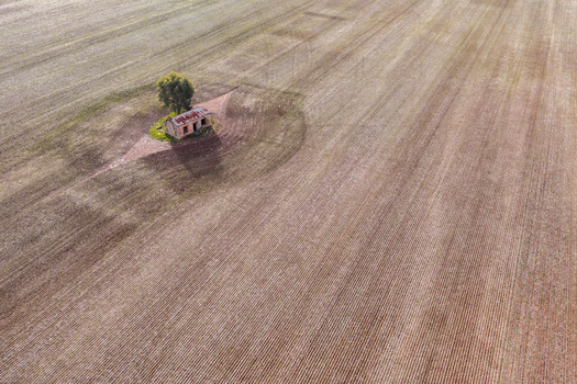 Aerial view of a small abandoned cottage with a rusty roof and a single tree in a vast ploughed field Flinders Ranges South Australia Australia.