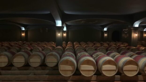 View of a wine cellar with rows of aging barrels France.