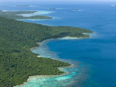 Aerial view of the lush green coastline meeting the turquoise sea a captivating blend of nature s artistry Karimunjawa Central Java Indonesia.