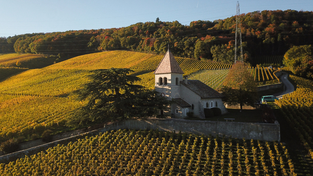 Aerial view of Fechy Dessus church surrounded by golden autumn vineyards and lush forests under warm sunlight in Fechy Vaud Switzerland.