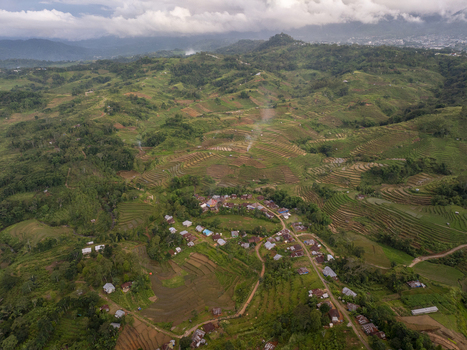 Aerial view of Bangka Kenda village surrounded by lush green rice terraces and rolling hills Wae Rii East Nusa Tenggara Indonesia.