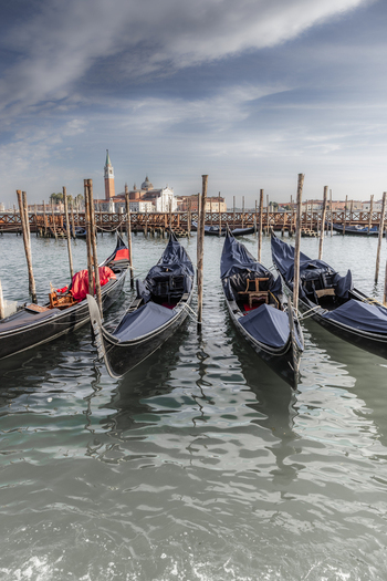 View of traditional gondolas moored to wooden poles in the lagoon with the San Giorgio Maggiore church in the background in Venice Veneto Italy. View of traditional gondolas moored to wooden poles in the lagoon with the San Giorgio Maggiore church in the background in Venice Veneto Italy.