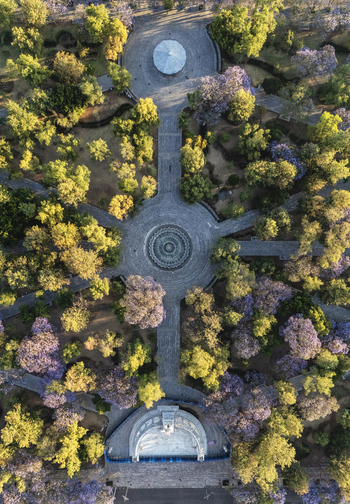 Aerial view of Alameda Central featuring lush trees paved walkways and a central fountain in Ciudad de Mexico Ciudad de Mexico Mexico. Aerial view of Alameda Central featuring lush trees paved walkways and a central fountain in Ciudad de Mexico Ciudad de Mexico Mexico.