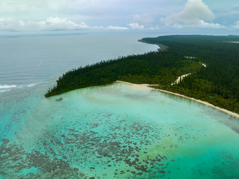 Aerial view of the vibrant turquoise waters meeting the lush dark green forest creating a stunning contrast of colors on the shore Pine Island L Île des Pins New Caledonia. Aerial view of the vibrant turquoise waters meeting the lush dark green forest creating a stunning contrast of colors on the shore Pine Island L Île des Pins New Caledonia.