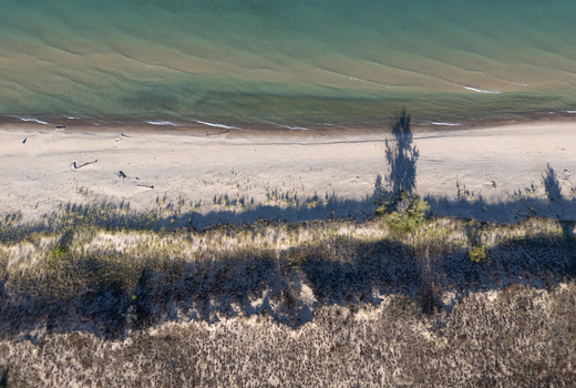 Aerial view of the sandy shore of Lake Michigan with dunes beach grass and long tree shadows stretching across the sand in Covert Michigan United States. Aerial view of the sandy shore of Lake Michigan with dunes beach grass and long tree shadows stretching across the sand in Covert Michigan United States.