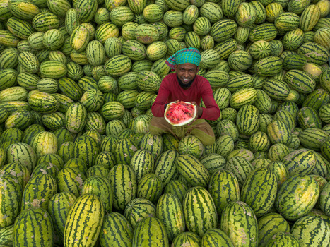 Dhaka Bangladesh 04 April 2026 Aerial view of a man surrounded by a sea of watermelons holding a vibrant slice of the fruit. Dhaka Bangladesh 04 April 2026 Aerial view of a man surrounded by a sea of watermelons holding a vibrant slice of the fruit.