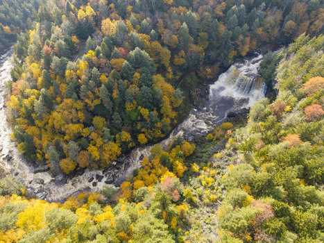 Aerial view of Blackwater Falls surrounded by dense forest with vibrant autumn foliage in Blackwater Falls State Park in Davis West Virginia United States.