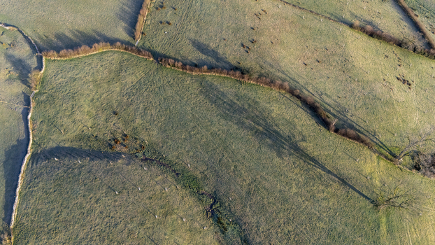 Aerial view of sunlit fields with hedgerows casting long shadows creating a tapestry of light and shadow across the undulating landscape England United Kingdom. Aerial view of sunlit fields with hedgerows casting long shadows creating a tapestry of light and shadow across the undulating landscape England United Kingdom.