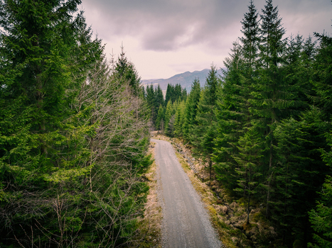 Aerial view of a gravel road winding through a dense pine forest with rocky terrain and distant mountains under a cloudy sky in Rogaland Norway.