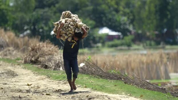 View of a worker carrying a heavy bundle of jute Bangladesh.