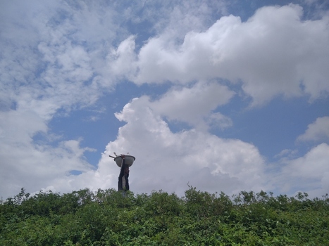 Kushtia Bangladesh 27 April 2020 View of a person carrying a bowl on their head while walking through lush green vegetation under a bright cloudy sky. Kushtia Bangladesh 27 April 2020 View of a person carrying a bowl on their head while walking through lush green vegetation under a bright cloudy sky.