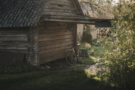 Laane County Estonia 19 May 2025 View of a rustic log cabin with a bicycle leaning against the wall surrounded by greenery and soft golden hour light on Vormsi island.