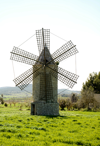 View of a traditional stone windmill standing in a vibrant green field in Mallorca Balearic Islands Spain.