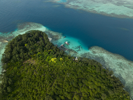 Aerial view of the lush greenery of Menjangan Kecil Island contrasting with the turquoise waters Karimunjawa Central Java Indonesia.