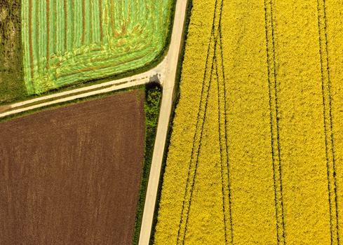 Aerial view of vibrant yellow rapeseed fields brown soil and green meadows divided by a rural dirt road Hofgeismar Hessen Germany. Aerial view of vibrant yellow rapeseed fields brown soil and green meadows divided by a rural dirt road Hofgeismar Hessen Germany.